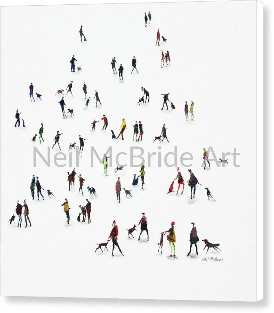 Dog Park Canvas Print 16.000’’ x 16.000’’ / White / Glossy Canvas Print