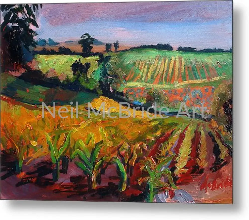 Newburgh Study Metal Print 10.000’’ x 7.500’’ Metal Print