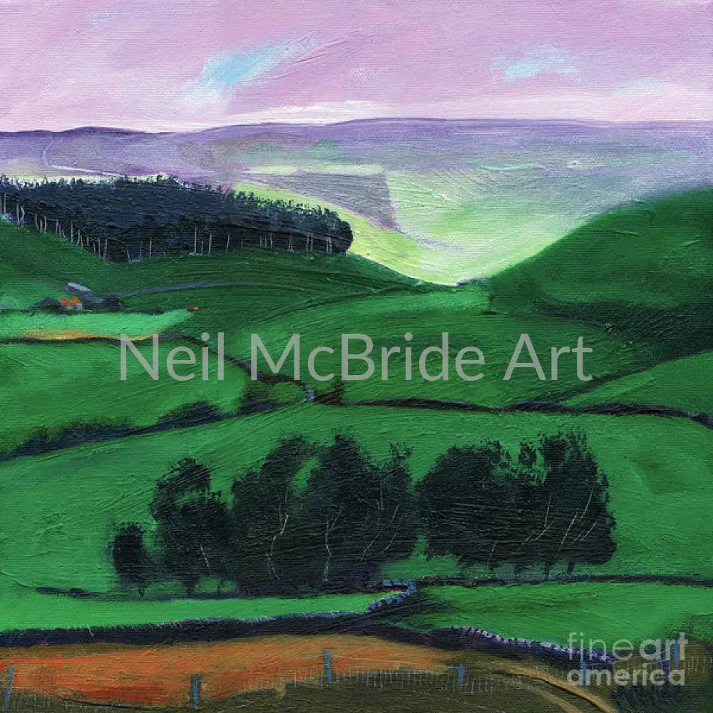 North York Moors Copse Paper Print 14.000’’ x 14.000’’ / Somerset Velvet Art Print