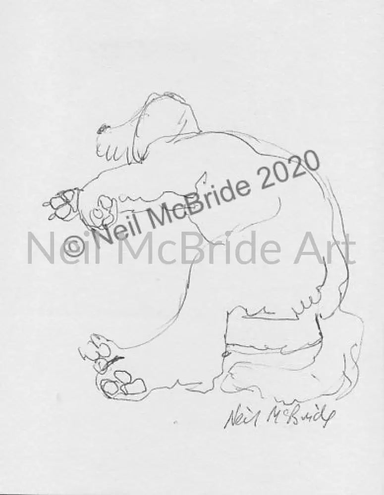 Ollie original drawing from the sketchbook Drawing