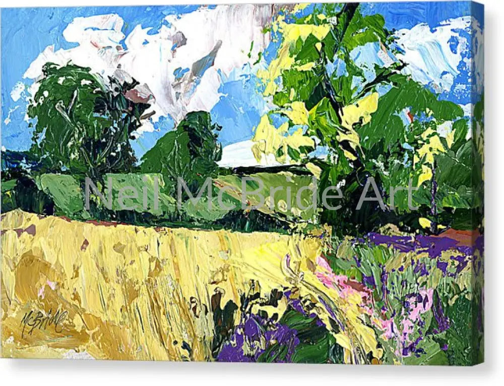 Whinny Bank Coxwold North Yorkshire Captured on a canvas print 14.000’’ x 9.250’’ / Mirrored / Glossy Canvas Print