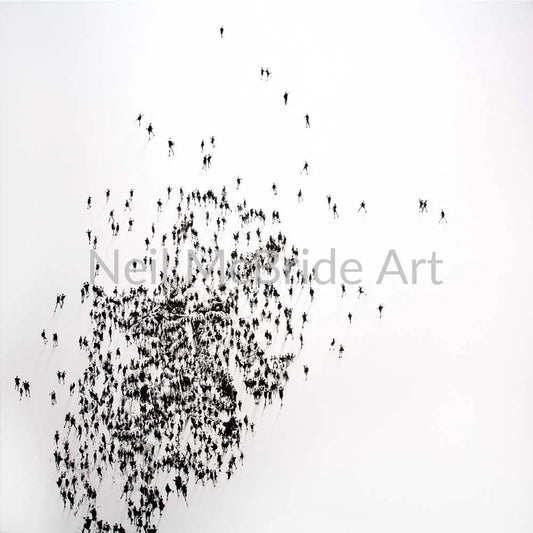 Fossil Find original painting on canvas Paintings