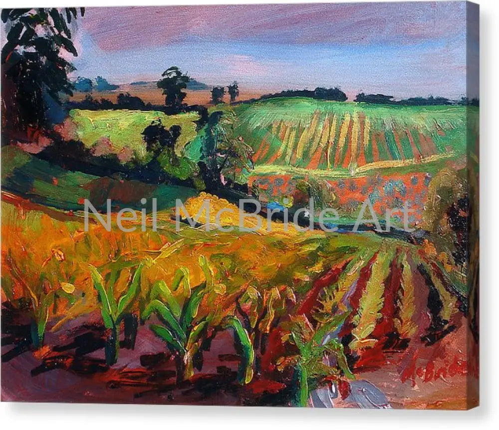 Newburgh Study Canvas Print 12.000’’ x 8.875’’ / Mirrored / Glossy Canvas Print