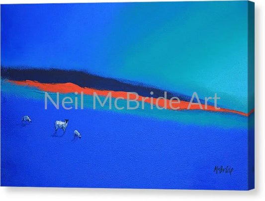 Three Blues And A Red Canvas Print 20.000’’ x 13.000’’ / Mirrored / Glossy Canvas Print