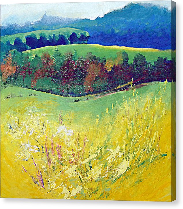 Yellow Meadow Canvas Print © Neil McBride 2018